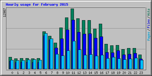 Hourly usage for February 2015